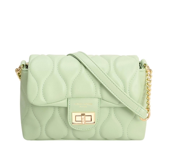 Дамска чанта през рамо светло зелена CM6700F David Jones